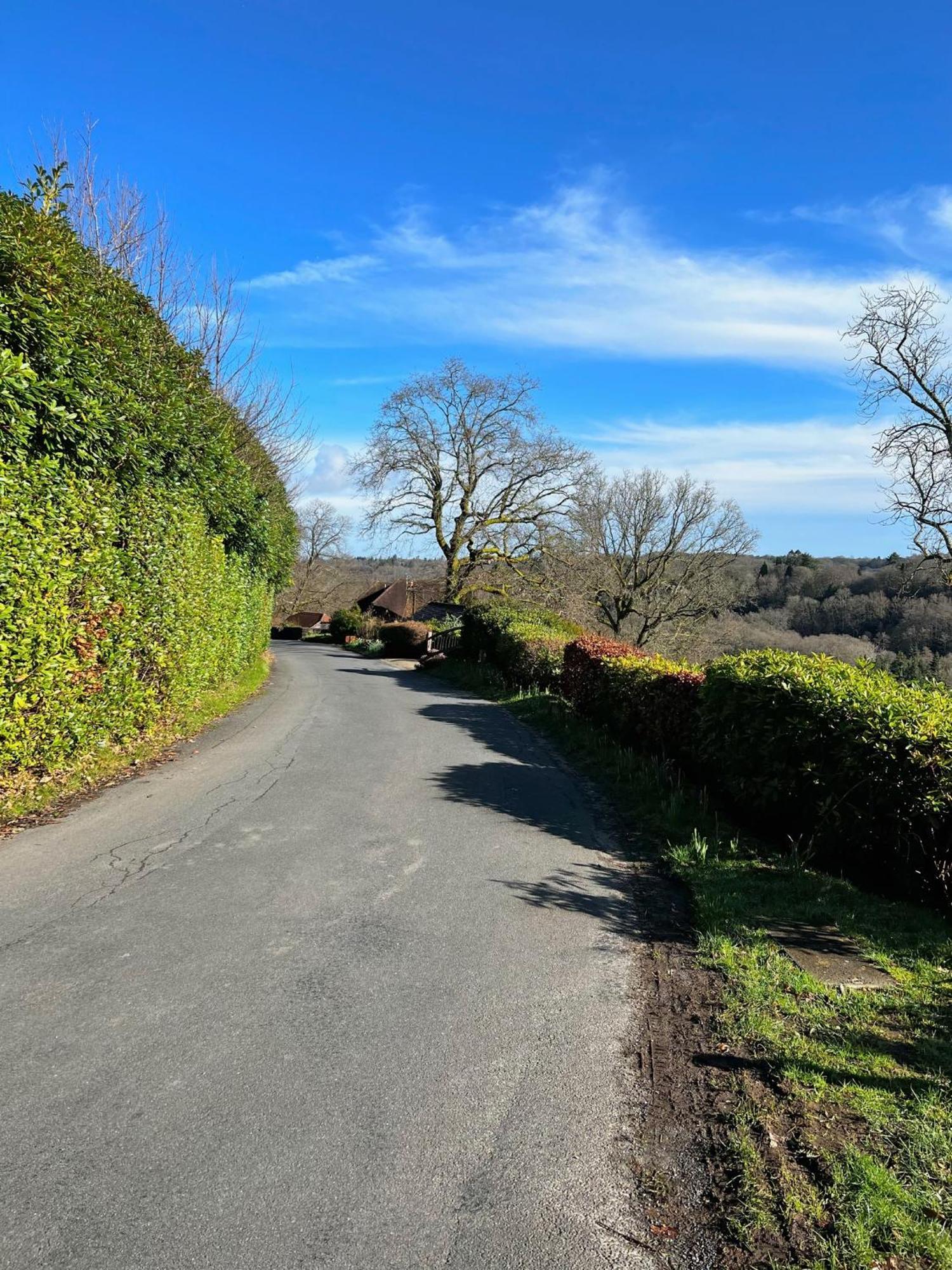 Hilltop Walkers Paradise With A View, Sleeps 10